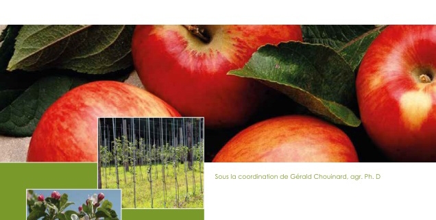 couverture du Guide de référence en production fruitière intégrée pour les producteurs de pommes du Québec